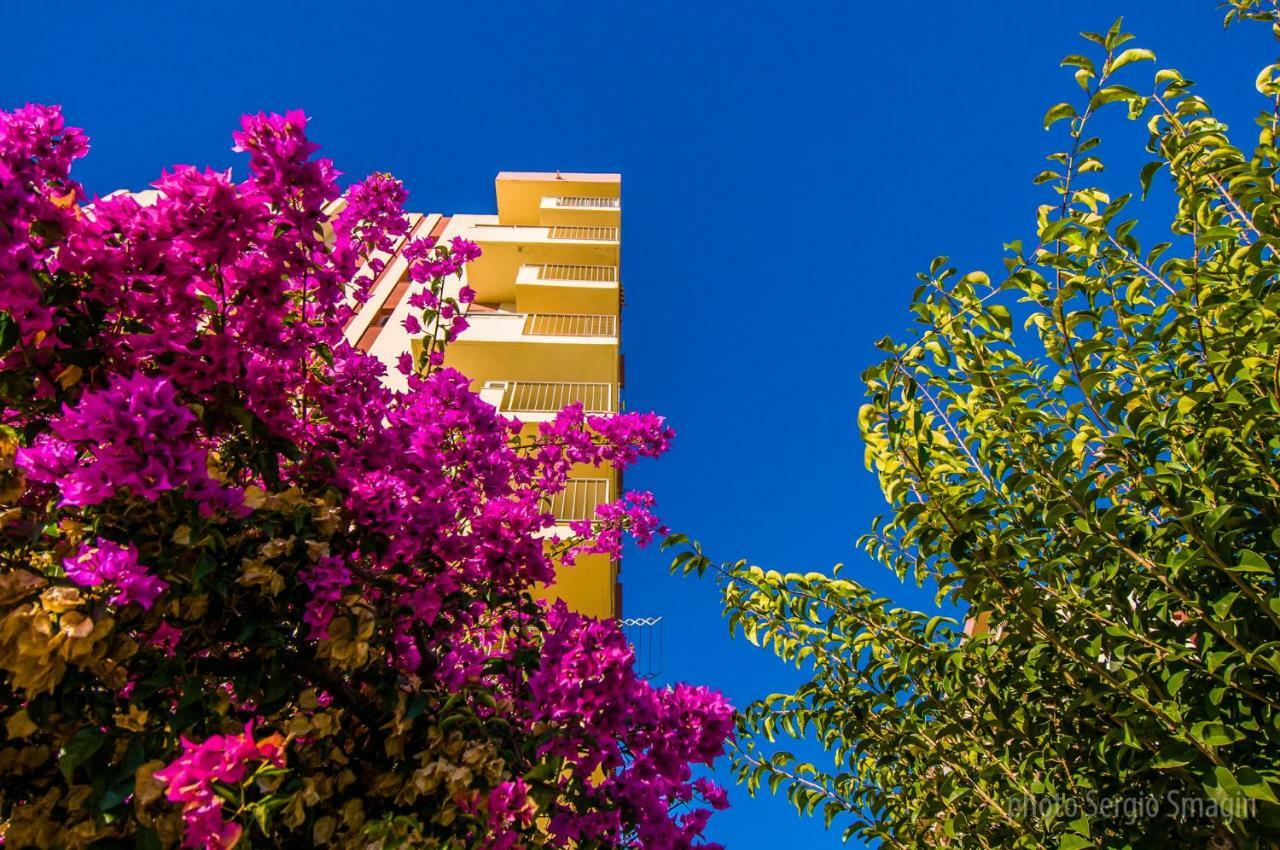 בנאלמדנה Apartamentos Jupiter Minerva - Piscina Abierta - Excelente Conexion Wifi מראה חיצוני תמונה